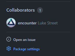 GitHub package settings